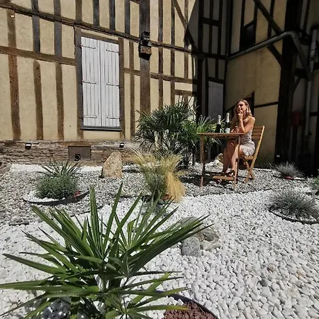 Les Cieux De La Cathedrale - Calme - Jardin - Wifi トロワ